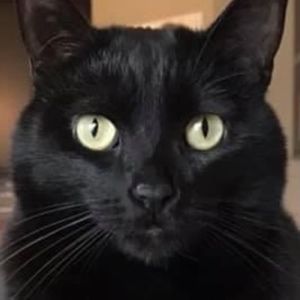 Meet your Posher, Renae